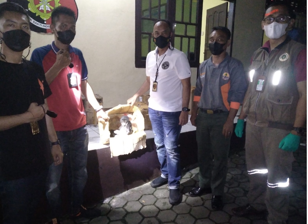 Penyelundupan Burung