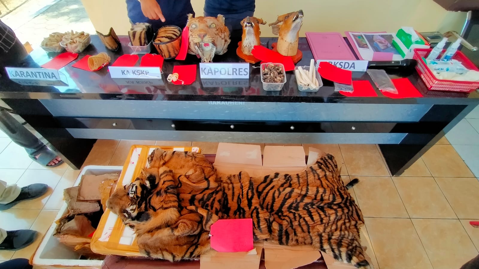 Penyelundupan kulit harimau