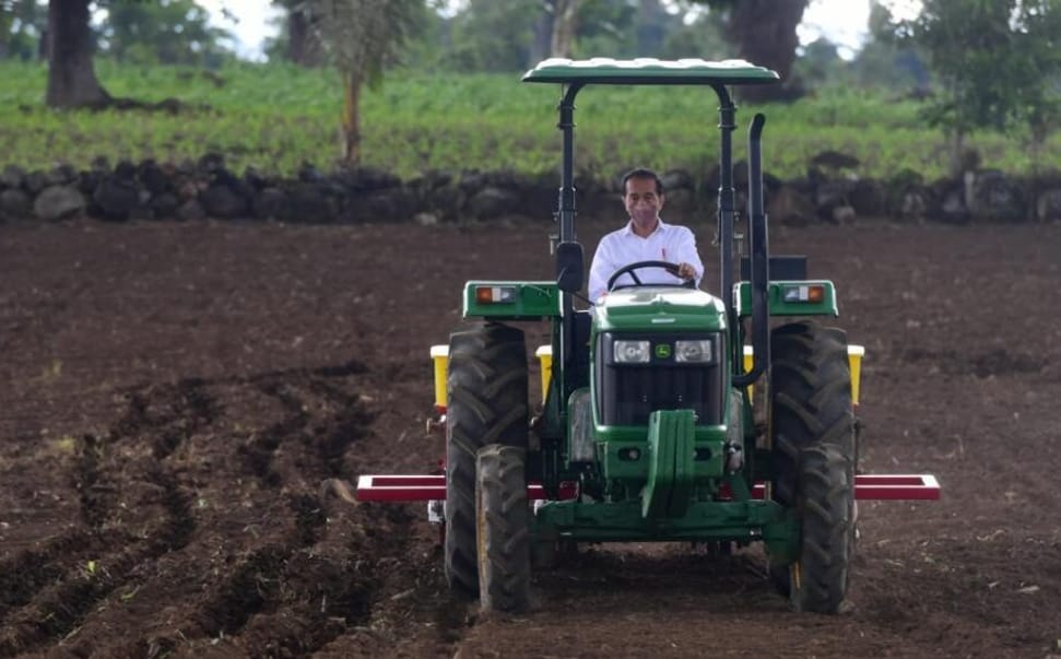 Momen Jokowi Tanam Jagung dengan Petani Hingga Tunggangi Traktor