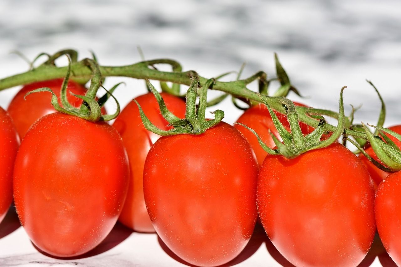 konsumsi tomat dapat buat wajah glowing