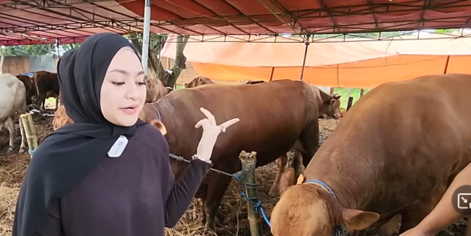 Nathalie Holscher Beli Hewan Kurban Tanpa Didampingi Sule