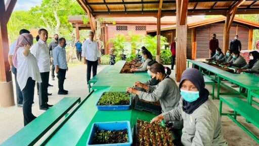 Tinjau Tempat KTT G20, Jokowi Kita Siap Menerima Tamu-Tamu G20
