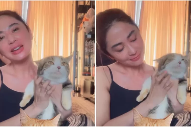 Pedangdut Dewi Perssik Selamatkan Kucing Peliharaan Eko Patrio Usai Penjarahan