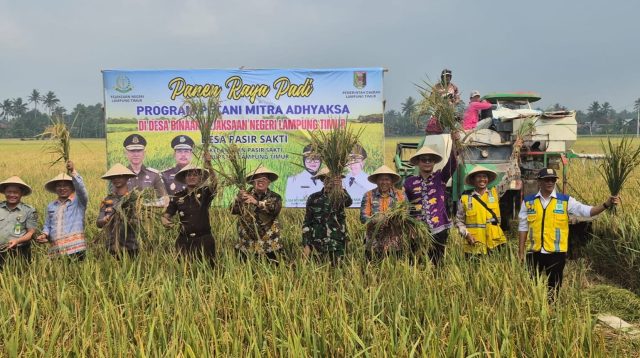 Wujudkan Swasembada Pangan, Kejari Lamtim, Gelar Panen Raya, bersama Petani Mitra Adhyaksa