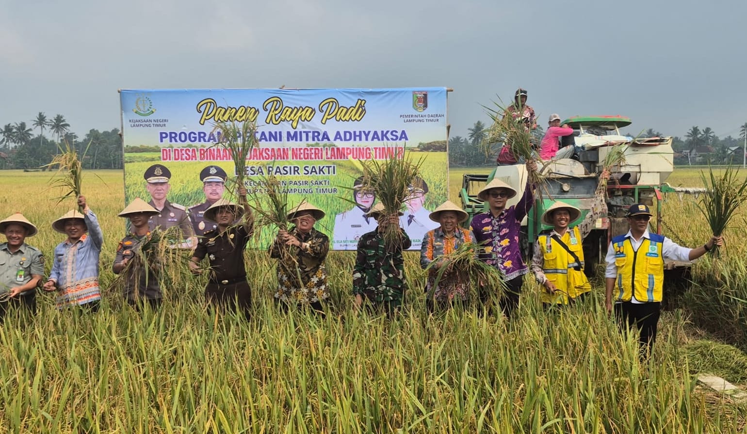 Wujudkan Swasembada Pangan, Kejari Lamtim, Gelar Panen Raya, bersama Petani Mitra Adhyaksa